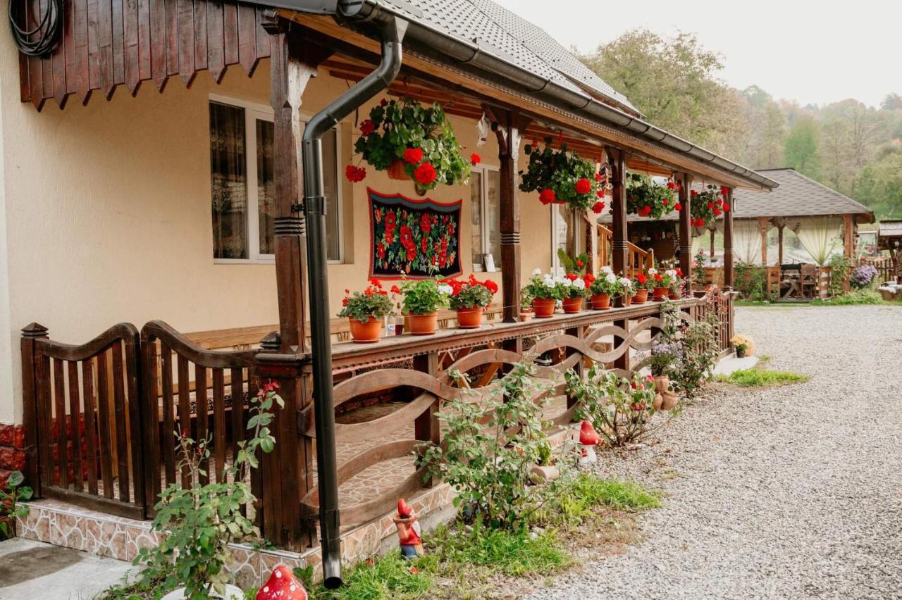 Casa Pintea De Sub Coasta Διαμέρισμα Breb Εξωτερικό φωτογραφία