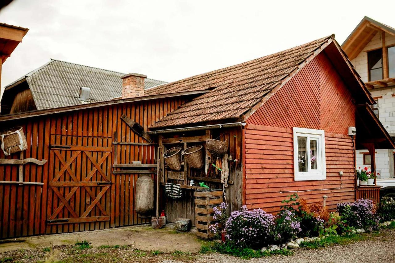 Casa Pintea De Sub Coasta Διαμέρισμα Breb Εξωτερικό φωτογραφία